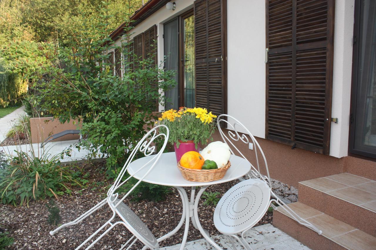 Bed and Breakfast Barvicka Tremosna Exterior foto